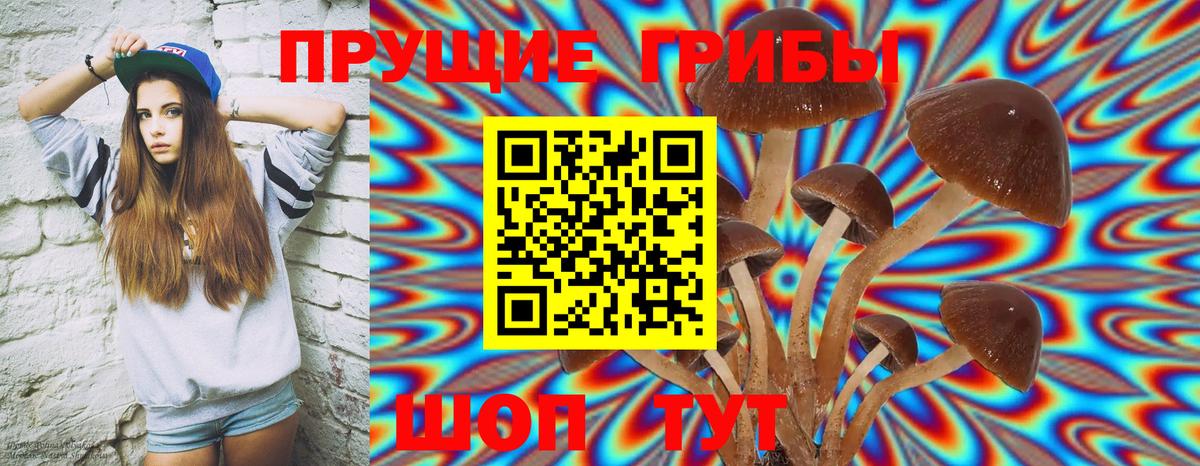 Псилоцибиновые грибы ЛСД  Вход с VPN  Тула  Псилоцибиновые грибы прущие грибы 