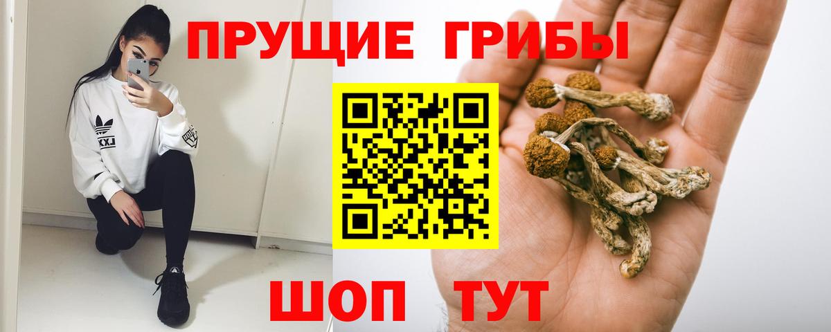 Галлюциногенные грибы MAGIC MUSHROOMS Тула
